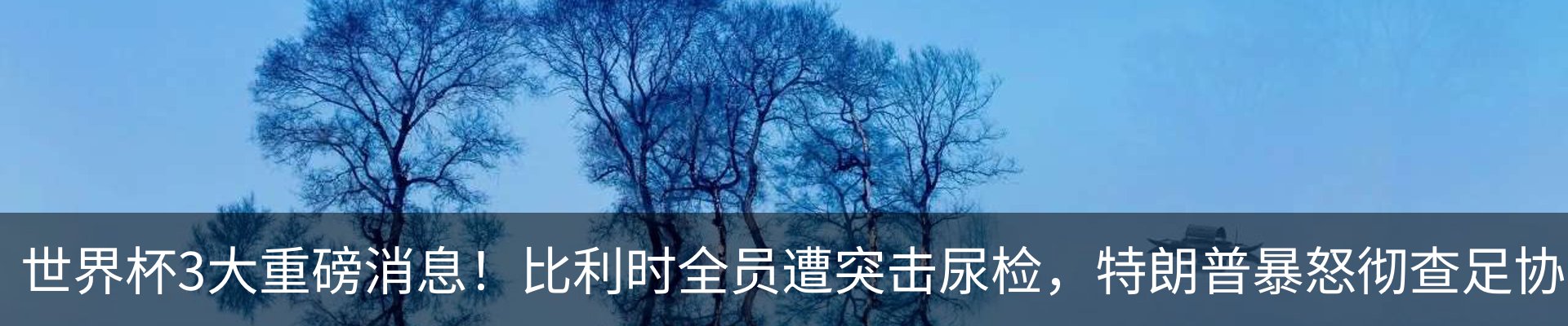 新闻动态
