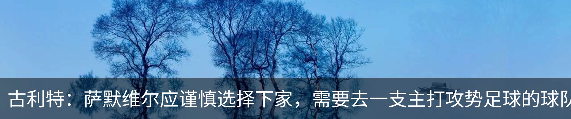 新闻动态