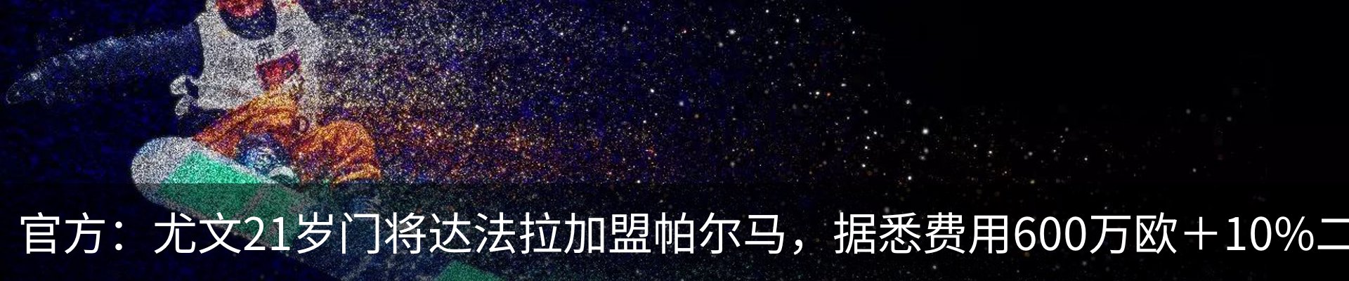 新闻动态