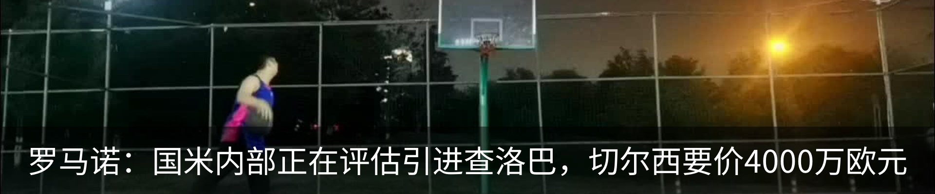 新闻动态
